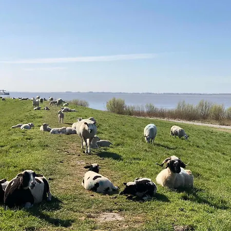 Brueckenhaus 3* Glückstadt
