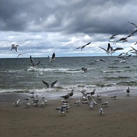 Brückenhaus Hotel 3*